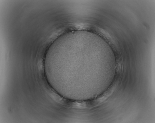 X0000111590317200907231220