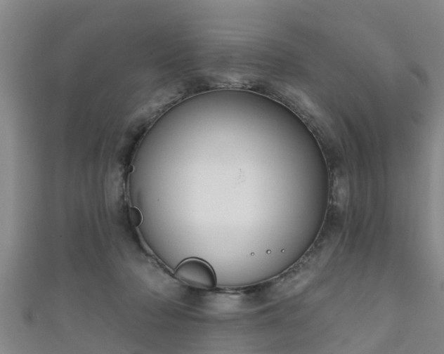 X0000111590318200907231220