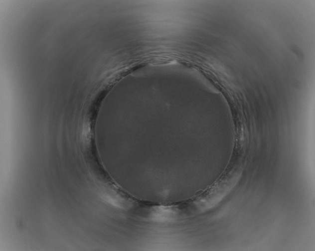 X0000111590320200907231220