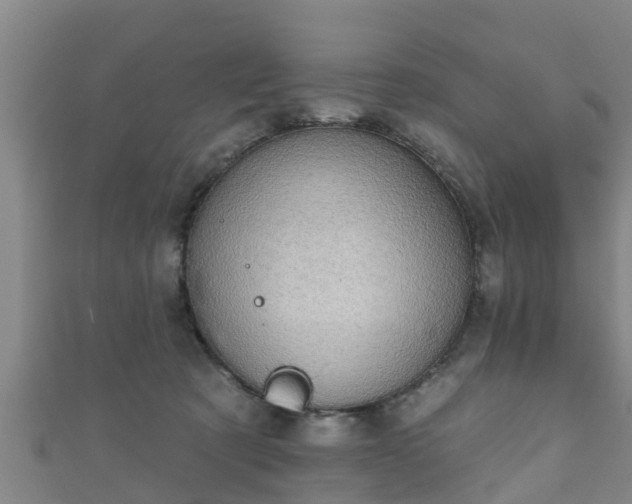 X0000111590321200907231220