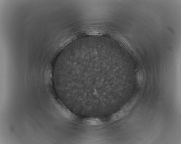 X0000111590322200907231220