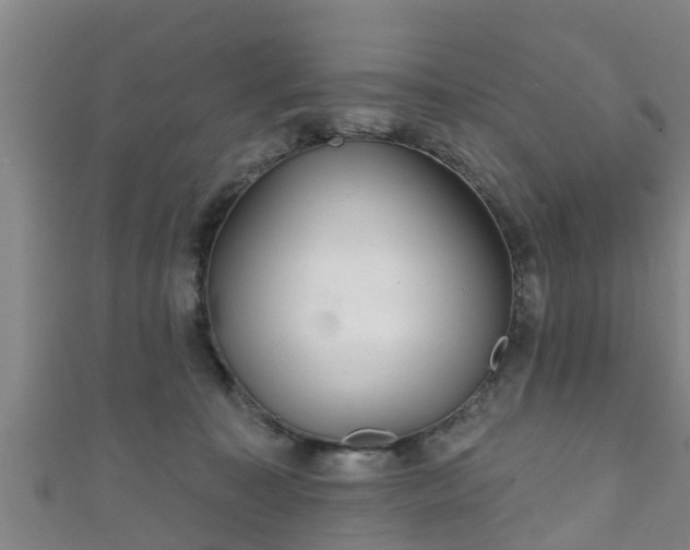 X0000111590323200907231220