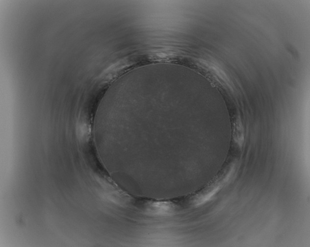 X0000111590324200907231220