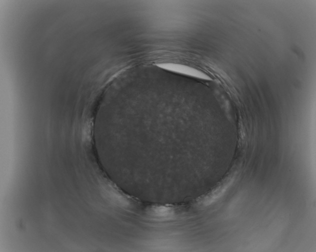 X0000111590325200907231220