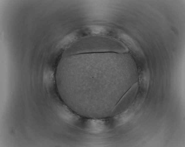 X0000111590327200907231220