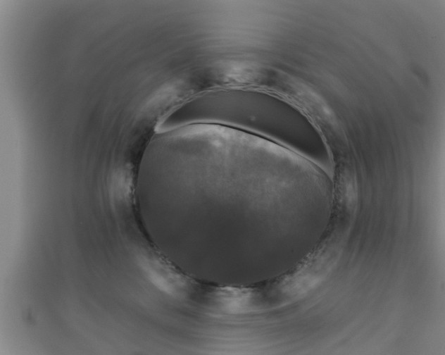 X0000111590328200907231220