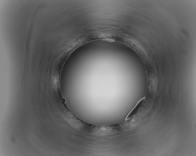 X0000111590329200907231220