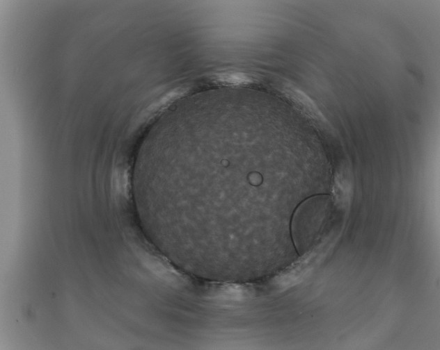 X0000111590330200907231220