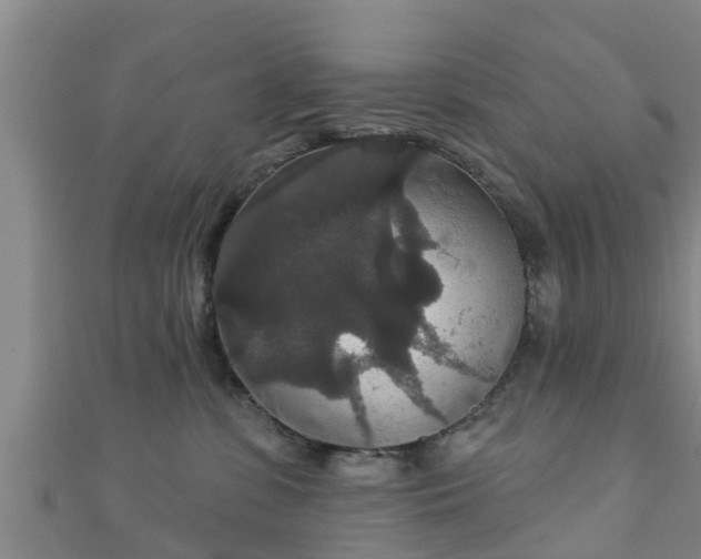 X0000111590331200907231220