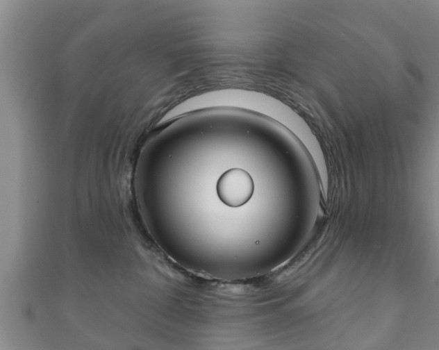 X0000111590332200907231220