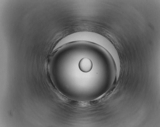 X0000111590333200907231219