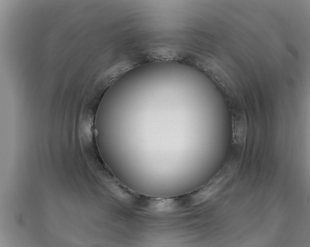 X0000111590334200907231219