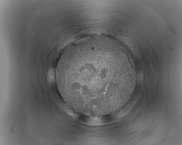 X0000111590335200907231219