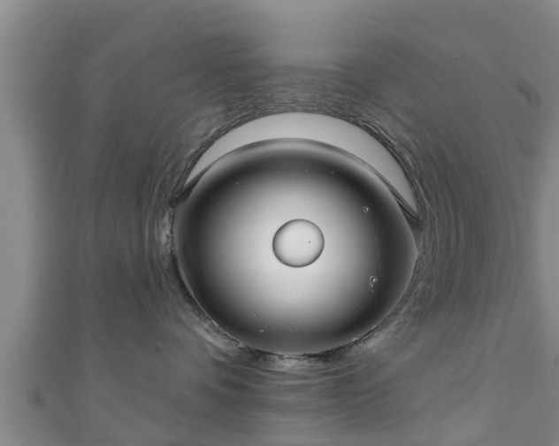 X0000111590336200907231219