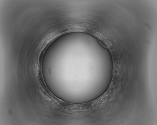 X0000111590338200907231219