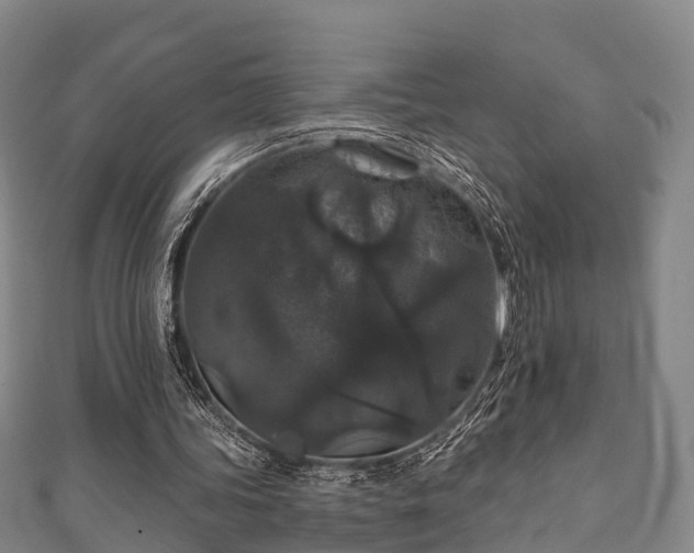 X0000111590339200907231219