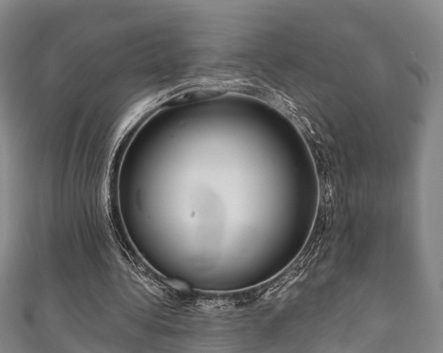 X0000111590340200907231219