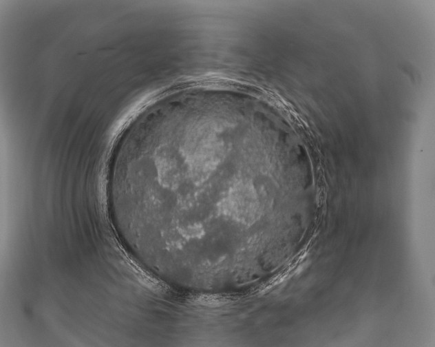 X0000111590341200907231219