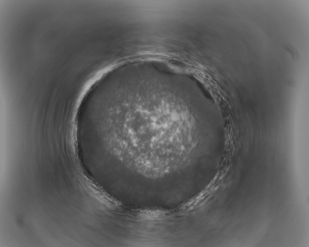 X0000111590342200907231219