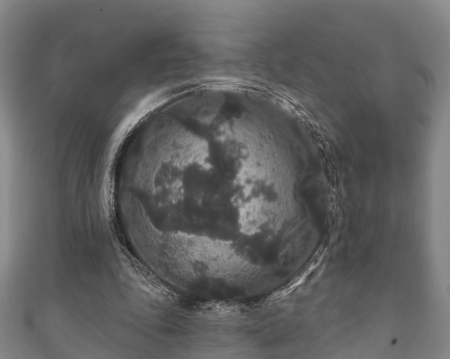 X0000111590343200907231219