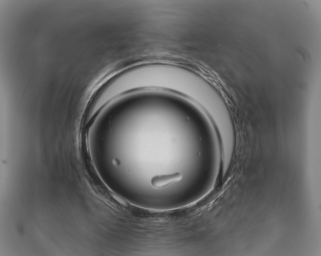 X0000111590344200907231219