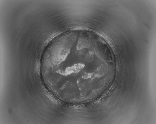 X0000111590345200907231219