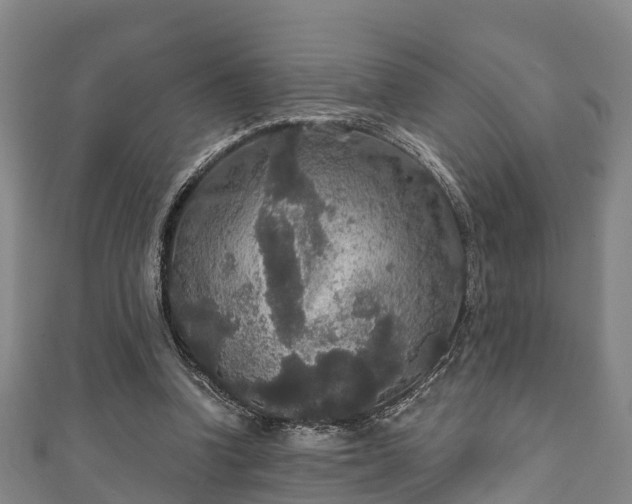 X0000111590346200907231219