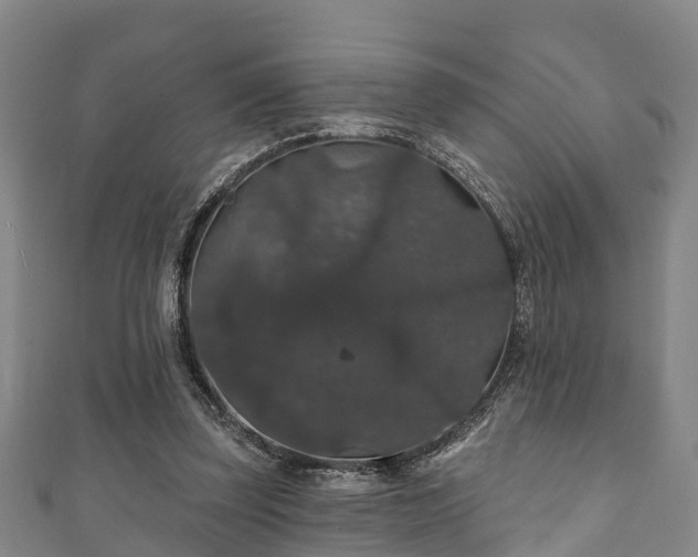 X0000111590347200907231219