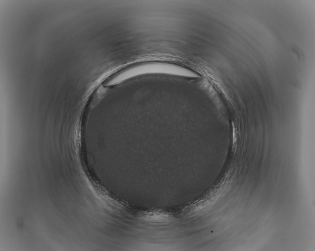 X0000111590348200907231219