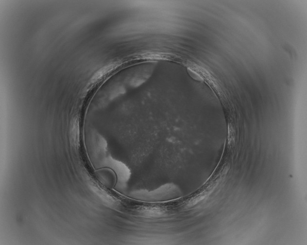 X0000111590349200907231219