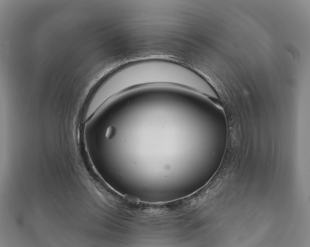 X0000111590350200907231219