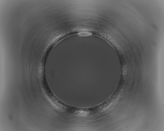 X0000111590352200907231219