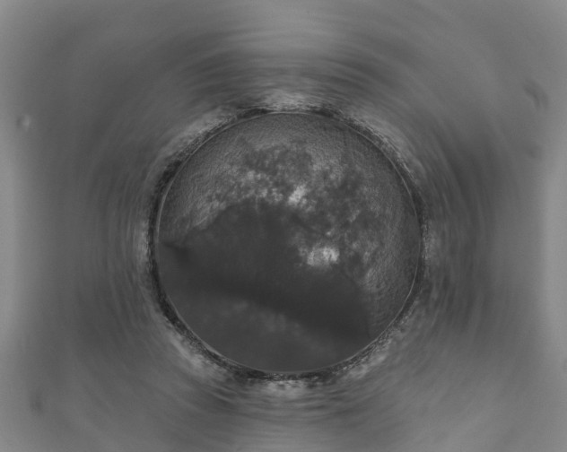 X0000111590353200907231219