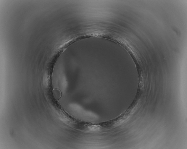 X0000111590355200907231219