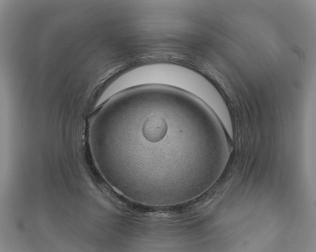 X0000111590356200907231219