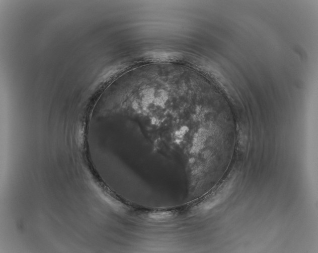 X0000111590357200907231219