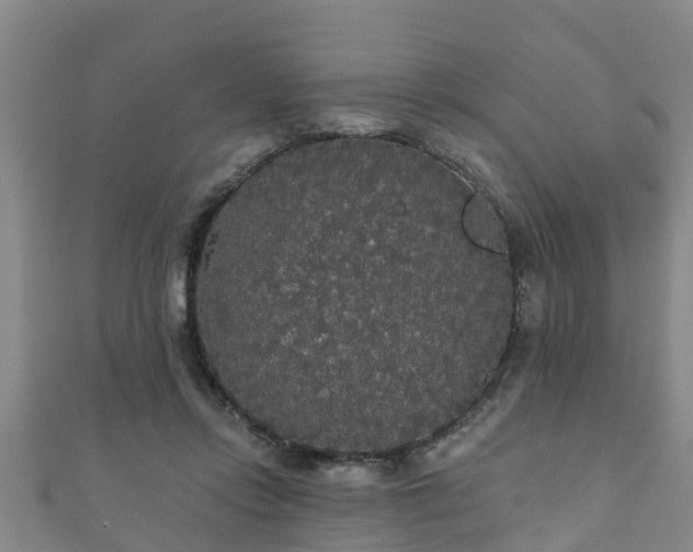 X0000111590358200907231219