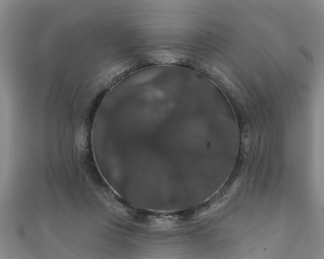 X0000111590359200907231219