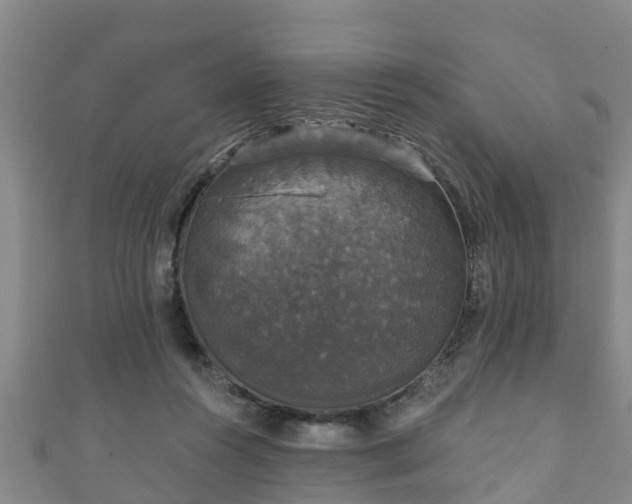 X0000111590360200907231219