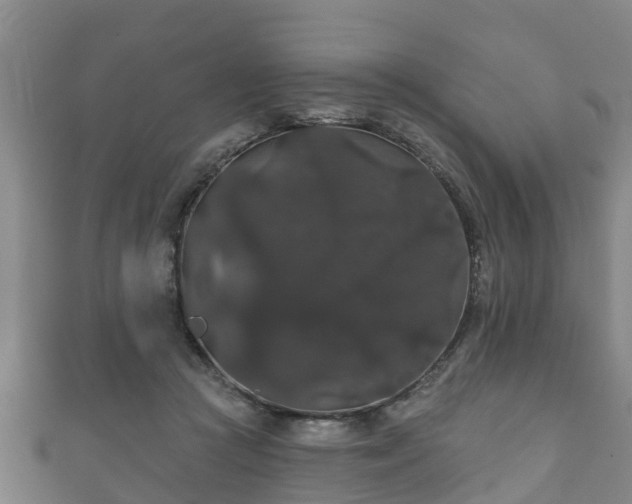 X0000111590361200907231219