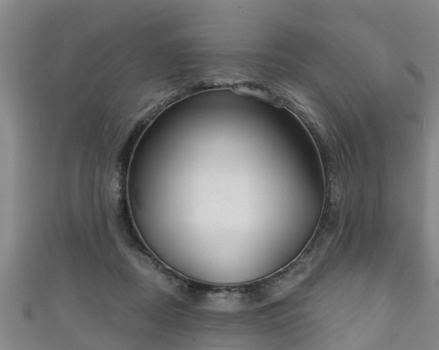 X0000111590362200907231219