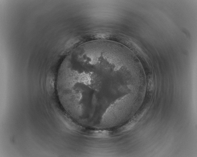 X0000111590363200907231219