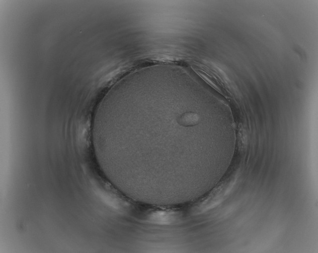 X0000111590364200907231219