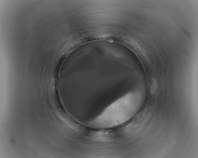 X0000111590366200907231219