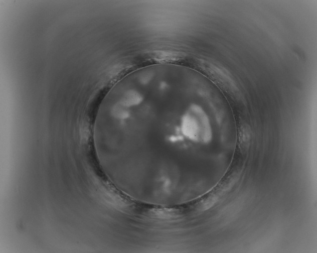 X0000111590367200907231219