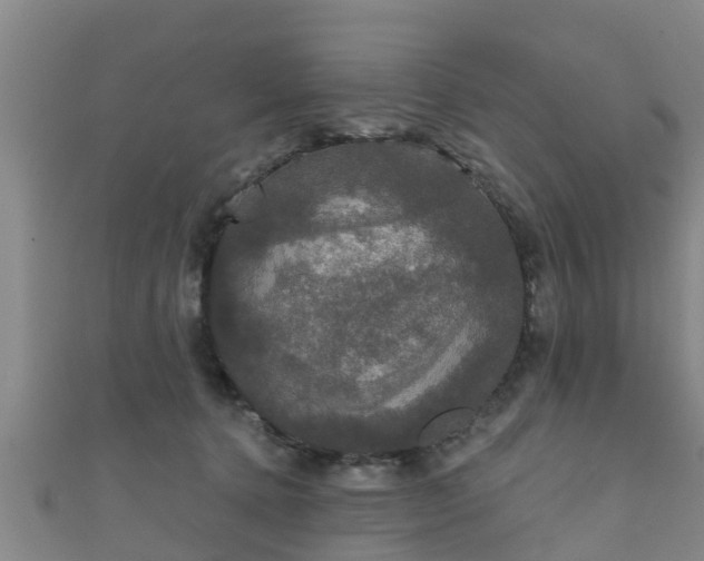 X0000111590368200907231219