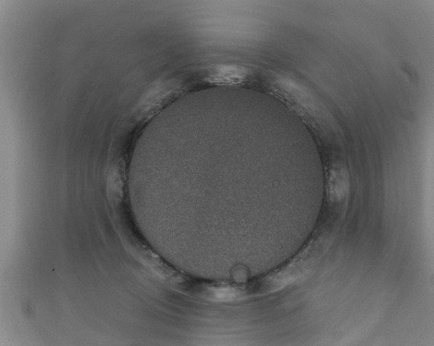 X0000111590370200907231219