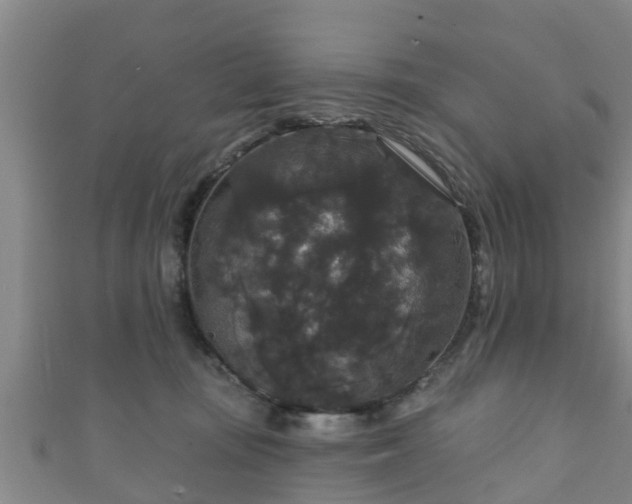 X0000111590371200907231219