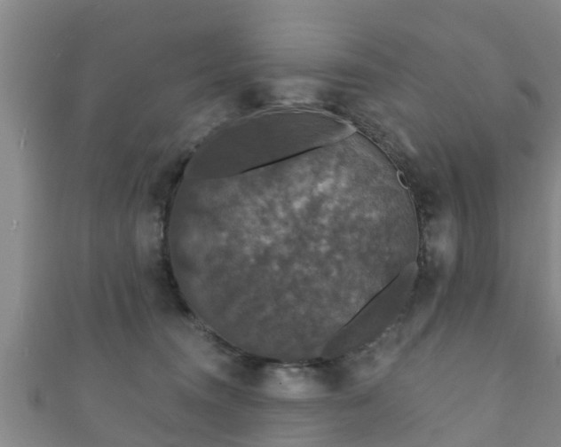 X0000111590372200907231219