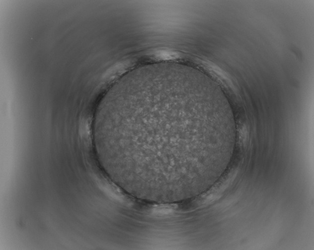 X0000111590373200907231219